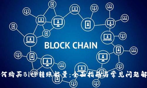 如何购买BitP转账能量：全面指南与常见问题解答