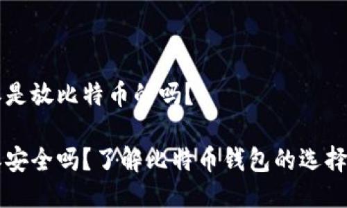 比特派是放比特币的吗？

比特派安全吗？了解比特币钱包的选择和使用