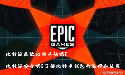 比特派是放比特币的吗？

比特派安全吗？了解比特币钱包的选择和使用