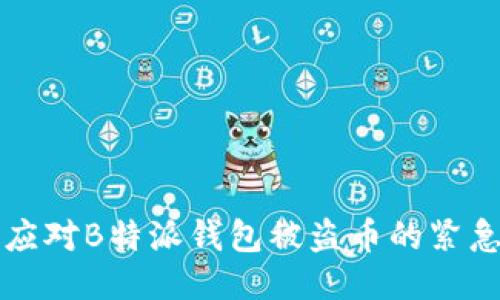 如何应对B特派钱包被盗币的紧急指南