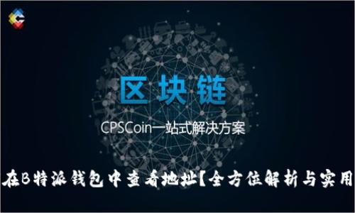 如何在B特派钱包中查看地址？全方位解析与实用技巧