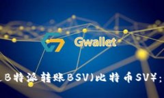 如何通过B特派转账BSV（比特币SV）：全面指南