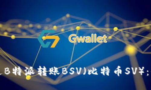 如何通过B特派转账BSV（比特币SV）：全面指南