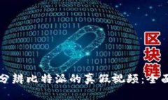 如何分辨比特派的真假视频：全面指南