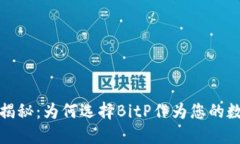 BitP钱包的优势揭秘：为何选择BitP作为您的数字资