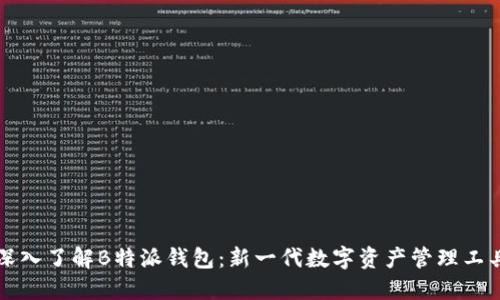 深入了解B特派钱包：新一代数字资产管理工具