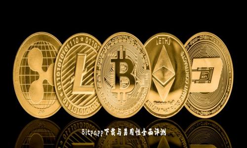 Bitpapp下载与易用性全面评测