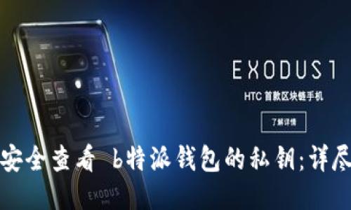 如何安全查看 b特派钱包的私钥：详尽指南
