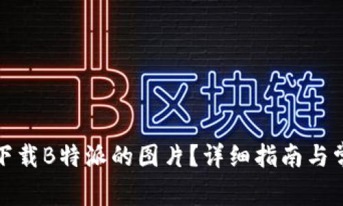 如何找到并下载B特派的图片？详细指南与常见问题解答