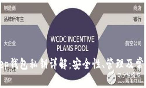 Bitkeep钱包私钥详解：安全性、管理及常见问题