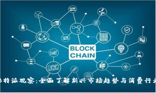 揭秘B特派观察：全面了解新兴市场趋势与消费行为分析