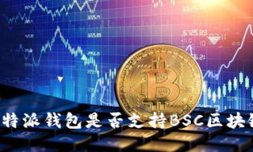探讨B特派钱包是否支持BSC区块链网络