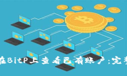 如何在BitP上查看已有账户：完整指南