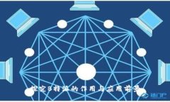 探究B特派的作用与应用前景