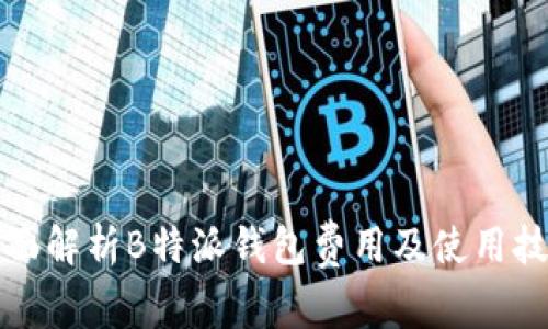 全面解析B特派钱包费用及使用技巧