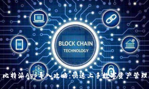 比特派App导入攻略：快速上手数字资产管理