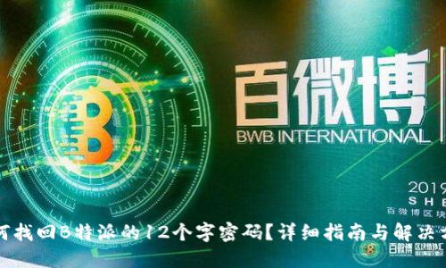如何找回B特派的12个字密码？详细指南与解决方案