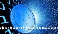 如何找回B特派的12个字密码？详细指南与解决方