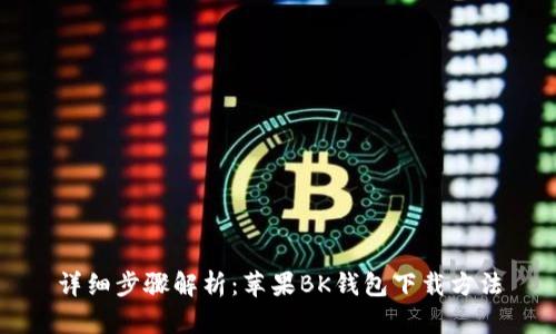 详细步骤解析：苹果BK钱包下载方法