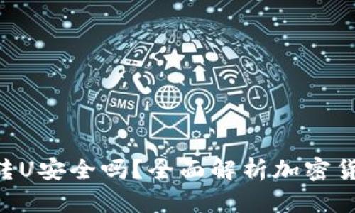 用B特派钱包转U安全吗？全面解析加密货币转账安全性