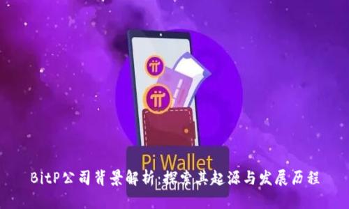 BitP公司背景解析：探索其起源与发展历程