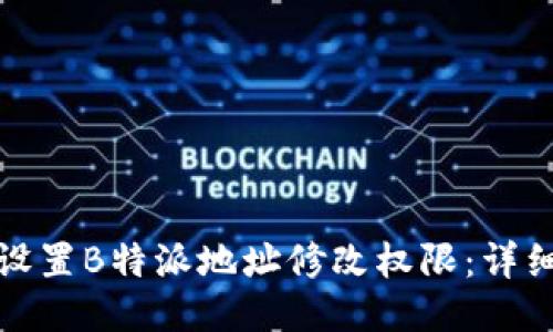 如何设置B特派地址修改权限：详细攻略