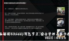 全面解析Bitkeep钱包节点：安全管理与操作指南