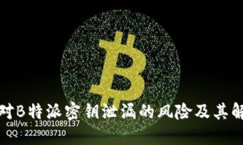 如何应对B特派密钥泄漏的风险及其解决方案