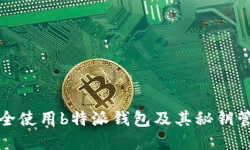 如何安全使用b特派钱包及其秘钥管理技巧
