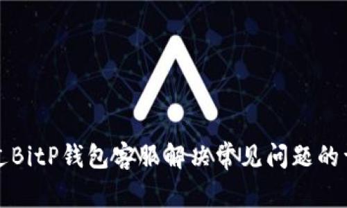 如何通过BitP钱包客服解决常见问题的详细指南