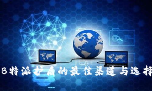 购买B特派护盾的最佳渠道与选择指南