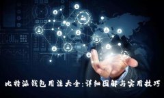 比特派钱包用法大全：详细图解与实用技巧