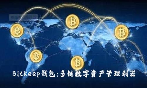 BitKeep钱包：多链数字资产管理利器