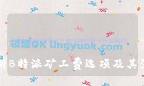 深入解析B特派矿工费选项及其影响分析