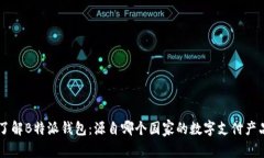 了解B特派钱包：源自哪个国家的数字支付产品