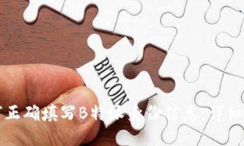 如何正确填写B特派身份信息：详细指南