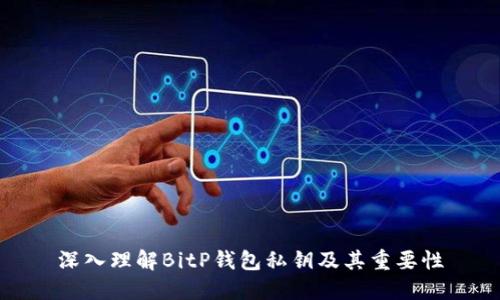 深入理解BitP钱包私钥及其重要性
