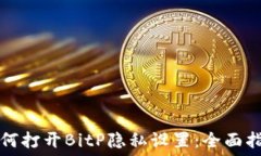   如何打开BitP隐私设置：全面指南