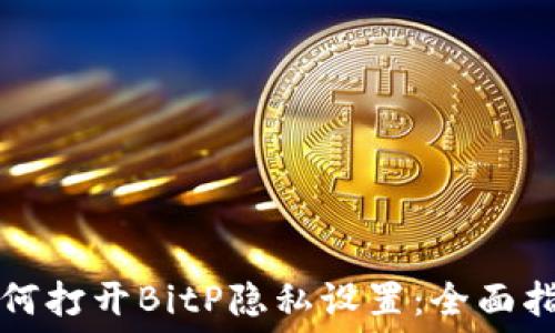   
如何打开BitP隐私设置：全面指南