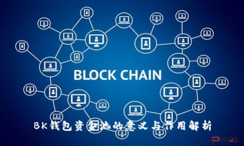 BK钱包资金池的意义与作用解析