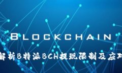 全面解析B特派BCH提现限制及应对策略
