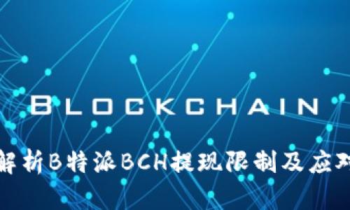 全面解析B特派BCH提现限制及应对策略