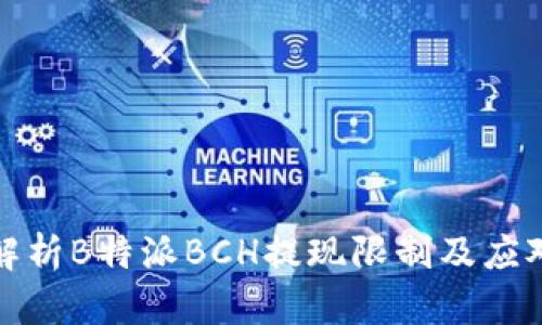 全面解析B特派BCH提现限制及应对策略