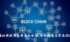 如何在比特派钱包中导入私钥：详细指南与常见