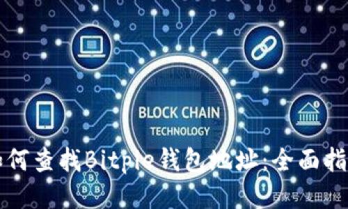 如何查找Bitpie钱包地址：全面指南