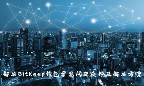 解决BitKeep钱包常见问题反馈及解决方案