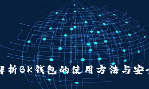 全面解析BK钱包的使用方法与安全技巧