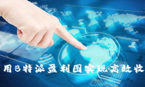 如何利用B特派盈利图实现高效收益分析