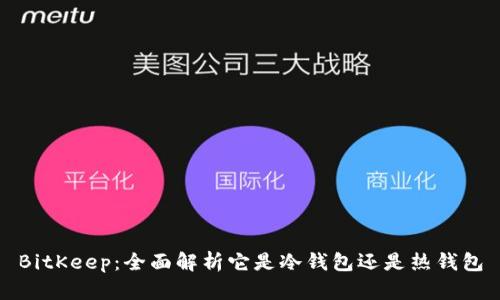 BitKeep：全面解析它是冷钱包还是热钱包