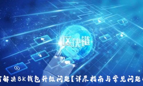   
如何解决BK钱包升级问题？详尽指南与常见问题解答